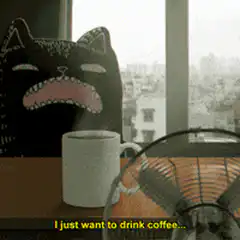 Crying cat pillow and coffee