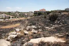 Burnt hillside with houses in background