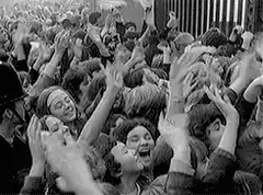 Excited crowd reaching for teddy bear