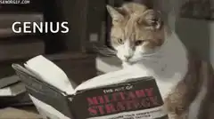 Genius Cat Reading Military Strategy