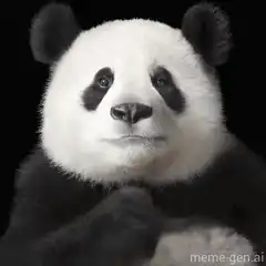 Cool Panda Puts on Sunglasses