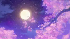 Moonlit cherry blossom night