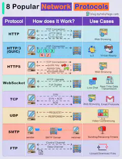 8 Popular Network Protocols Infographic