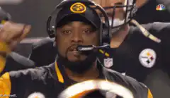Mike Tomlin celebrating with fist pump