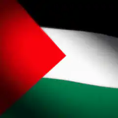 Palestinian flag waving