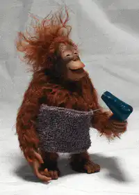 Orangutan with hair dryer and towel