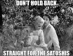 Don't Hold Back Straight for the Satoshis