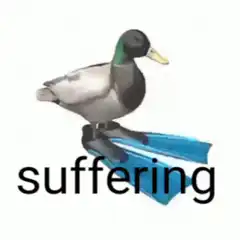 Duck on flippers suffering