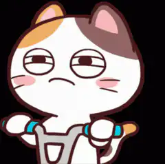Unimpressed calico cat shrugging