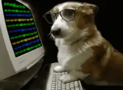 dog with glasses typing on keyboard