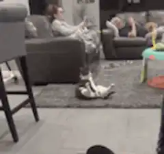 cat sitting like a human on rug