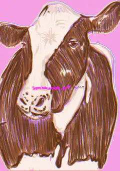 Cow head zooms out to reveal multiple cows