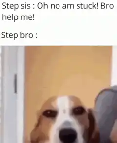 Step bro dog reaction