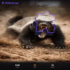 Hissing honey badger puzzle game
