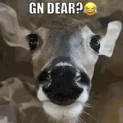 GN DEAR? deer face