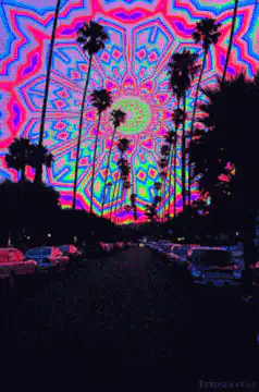 psychedelic palm trees sky