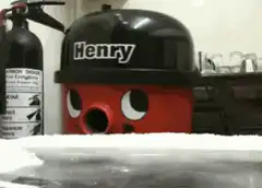 Henry vacuum cleaner falls over