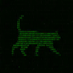 falling green binary code matrix