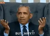 Obama But Why