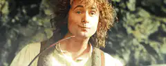 Frodo Baggins raises a glass