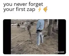 farmer gets shocked by electric fence