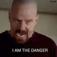 Walter White I Am The Danger