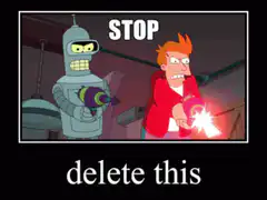 Fry and Bender stop delete this