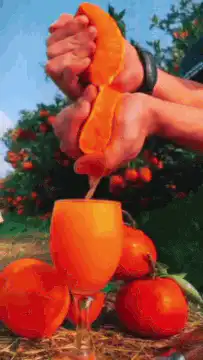 Hand squeezing orange juice into glass