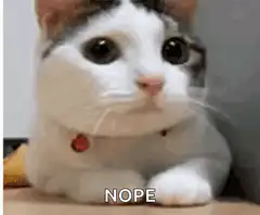 Cat saying nope