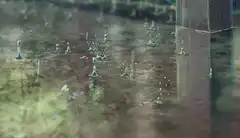 raindrops hitting puddle
