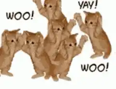 Excited orange cats jumping and cheering