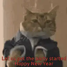 Cat in suit Happy New Year