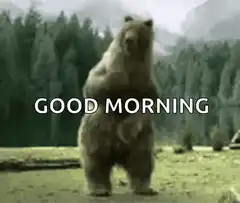 Good Morning Bear