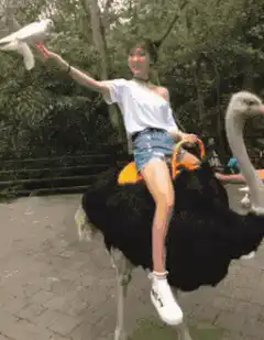 Girl riding an ostrich with a white dove