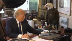 Donald Trump and eagle