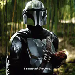 The Mandalorian I came all this way