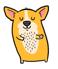 Corgi turns around