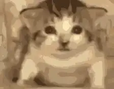 pixel art cat explodes