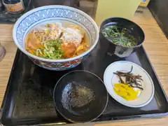 Japanese ramen set meal on tray