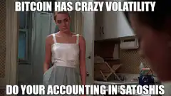 Bitcoin Volatility Accounting in Satoshis