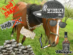 gangsta horse with money and cigarettes
