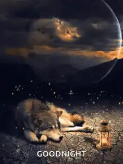 Wolf sleeping under a planet with GOODNIGHT text