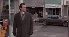 Bill Murray gets punched in the face