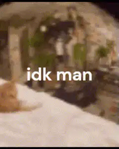 idk man cat