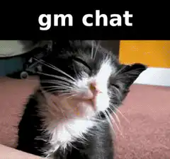 gm chat sleepy cat