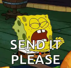 SpongeBob Send It Please