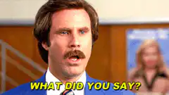 Ron Burgundy What Did You Say