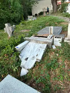 overgrown cemetery with broken tombstones
