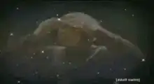 Man levitating in space