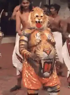 Tiger dancer performing with drummers